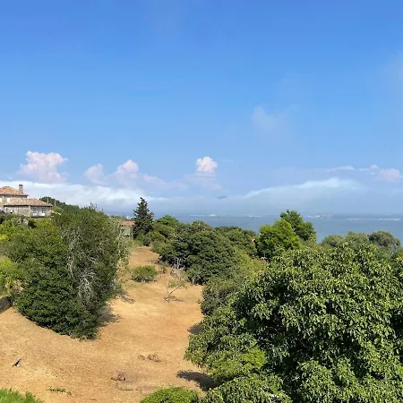 Ferienhaus Casa Do Xabon